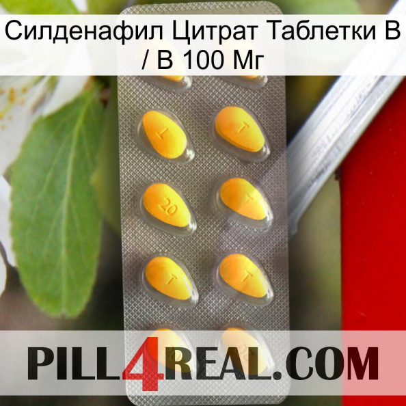 Sildenafil Citrate Tablets Ip 100 Mg cialis1.jpg